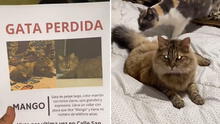 Joven repartió carteles para hallar a su gata desaparecida y lo encuentra de forma insólita: “Estaba de parranda”