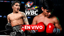 [DAZN EN VIVO] 'Bam' Rodríguez vs Guevara HOY por el título mundial supermosca: sigue AQUÍ la velada de box