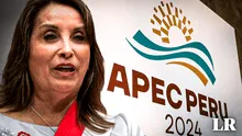 APEC 2024: Dina Boluarte llama a la paz durante foro internacional mientras críticas contra su gobierno continúan