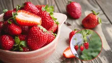 Los puntos de las fresas esconden una función especial, ¡y no son semillas!: descubre su función