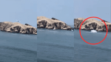 Avioneta se estrella en mar de San Bartolo: piloto habría realizado maniobras peligrosas sobre casas antes del choque