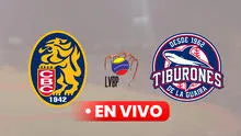 [Ver IVC EN VIVO] Leones vs Tiburones HOY por la LVBP 2024: ¿cómo va el juego de béisbol venezolano?