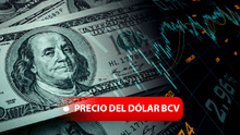 MIRA el precio del Dolar BCV y Dólar Paralelo HOY, 15 de noviembre en Venezuela, vía Banco Central