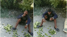 Hombre es sorprendido robando limones de un huerto y lo obligan a comérselos todos