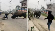 Motociclista se salva de ser embestido por rinoceronte y usuarios quedan atónitos: “¿Jumanji?”