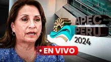 Dina Boluarte en APEC 2024, EN VIVO: últimas noticias sobre actividades de este viernes 15 de noviembre