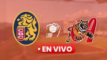 Ver juego de Leones del Caracas vs Tigres de Aragua EN VIVO por la LVBP: horario y canal de HOY, 16 de noviembre