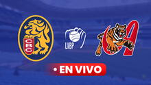 Leones del Caracas vs Tigres EN VIVO por IVC, LVBP 2024-25: horario y cómo ver el juego de HOY, 17 de noviembre