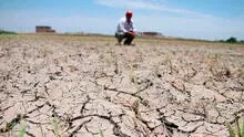 El fuerte pedido de una agricultora de Sullana a Dina Boluarte: "Ya terminó el APEC, dedíquese al norte"