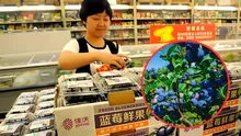 Esta fruta peruana es la más solicitada en China, donde se venden más de 20.000 cajas al día: Perú la exporta por US$247 millones