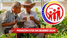 ¿Cuándo pagan la pensión IVSS de diciembre 2024? Fecha y monto del pago del seguro social en Venezuela