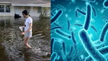 Alerta en Florida: aumentan infecciones por bacteria 'come carne' tras huracanes Helene y Milton en Estados Unidos