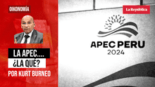 La APEC... ¿la qué?, por Kurt Burneo