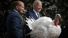 Indulto presidencial al pavo en USA: así es la divertida y tradicional ceremonia que lidera Biden en Acción de Gracias