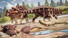 Arqueólogos descubren nueva especie de dinosaurio en China de más de 72 millones de años: pesaba más de 3 toneladas