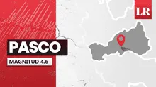 Temblor de magnitud 4,6 remeció hoy Pasco, según IGP