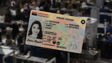 Licencia de conducir para inmigrantes en Arizona: realiza este único paso y obtén rápido tu real ID este 2025