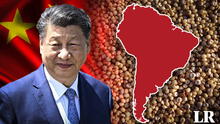 China apuesta por el producto de este país de América Latina en medio de tensiones comerciales con Estados Unidos