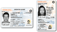 Real ID Indiana: conoce los requisitos para tramitar tu licencia de conducir en Estados Unidos