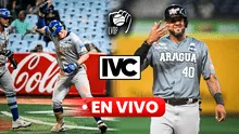 Juego Magallanes vs Tigres HOY EN VIVO: a qué hora juegan los Navegantes, dónde ver y resultados por la LVBP 2024