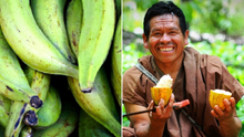 Postres de la selva peruana: las 5 recetas auténticas para preparar en casa