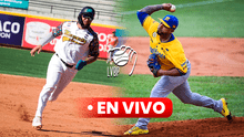 Ver Magallanes vs Bravos EN VIVO ONLINE, 26 de noviembre: horario y qué canal pasa la doble tanda por la LVBP 2024-25