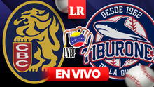 Leones vs. Tiburones de La Guaira: horario y canal para ver el juego EN VIVO por la LVBP 2024-25