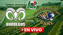 Auténticos Tigres vs Borregos Monterrey EN VIVO, FINAL Onefa 2024: hora y dónde ver el partido en México