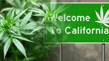 ¡Atención, ciudadano de California! los requisitos importantes para conseguir tu licencia de cannabis medicinal