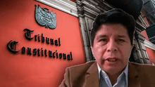 TC declara improcedente demanda que buscaba la liberación del expresidente Pedro Castillo