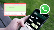 WhatsApp permitirá reenviar mensajes a otras plataformas: aplicación trabaja en nueva actualización