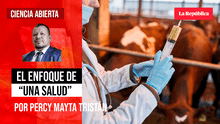 El enfoque de “una salud”, por Percy Mayta Tristán