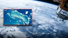 El único animal visible desde el espacio y el más grande del mundo: no es una jirafa ni una ballena azul