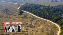 Menonitas deforestaron alrededor de 9 mil hectáreas de bosque tropical, equivalente a 18 mil canchas de fútbol, en la Amazonía de Perú