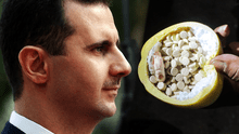 Descubren en Siria una fábrica de la droga captagon que pertenecería al régimen de Al Assad