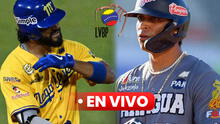 Navegantes del Magallanes vs Tigres EN VIVO HOY, 13 de diciembre: horario y canal confirmado por la LVBP 2024-25