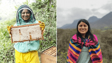 Ingeniera química peruana dejó su carrera para conservar abejas nativas y reforestar bosques en Lambayeque: su padre se enojó al inicio