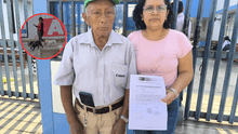 Adulto de 81 años es atacado por 4 perros en parque de Trujillo: dueña no se hace responsable de gastos médicos