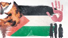 El genocidio en Gaza pone a prueba al sistema internacional, Wallid Muaqqat