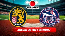 Juego de Leones vs Tiburones HOY por Televen EN VIVO: hora y pitchers del importante partido por la LVBP 2024-25