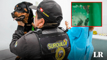 Maltrato animal en Surquillo: mantienen a perros de brigada canina en cuartos inundados de desagüe y roedores