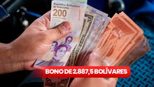 Nuevo bono de 2.887,5 bolívares, diciembre 2024: cómo saber si me toca el pago del subsidio en Venezuela