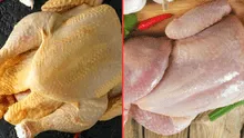 ¿Cuál es mejor para la comida? Pollo amarillo vs. blanco, las características que probablemente desconocías