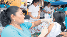 Dengue: año cerró con un aumento de  casos y lento avance en la vacunación