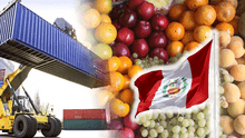 Perú alcanzó nuevo récord en agroexportaciones en 2024: las frutas que lideraron el mercado internacional