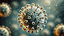 Metapneumovirus humano, el virus respiratorio presente en China: ¿qué es, cómo se transmite y cuáles son los síntomas?