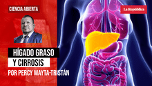 Hígado graso y cirrosis, por Percy Mayta-Tristán