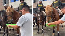 Peruano sorprende al dar de beber agua a caballos de la PNP y usuarios lo felicitan: "Acción ejemplar"