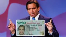 Nueva Ley de Licencia Universal en Florida 2025: 5 requisitos que debes cumplir para aplicar a la norma MOBILE Act.