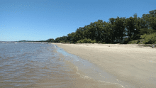 Conoce la playa escondida de América Latina considerada como una de las más grandes bellezas por los bañistas: no está ni en México ni en Brasil